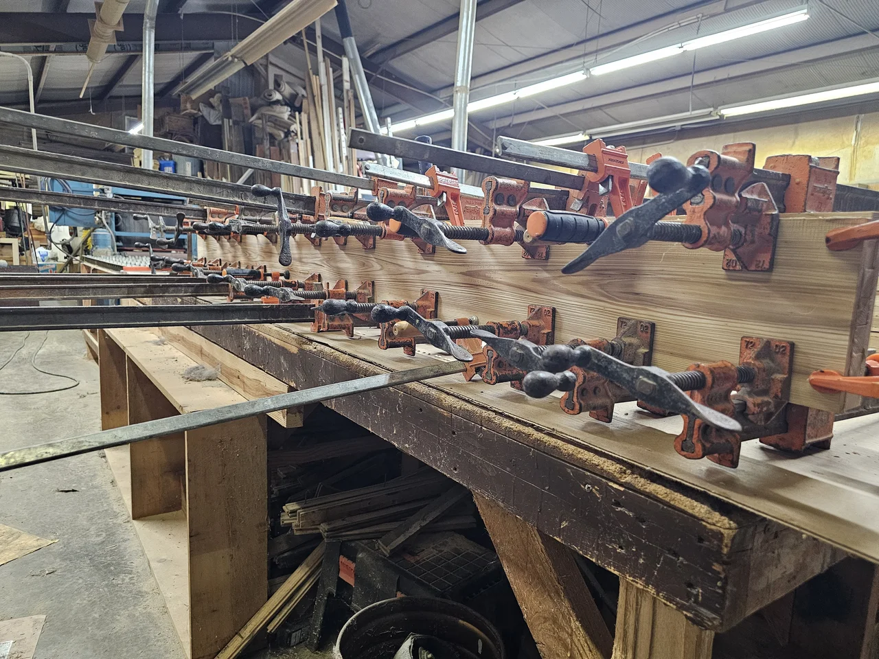 A door in clamps during glue-up, a receding rank of orange bar clamps along the bench.