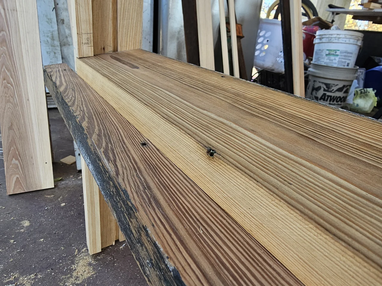 Freshly milled sill stock with the grain running the length of the board.