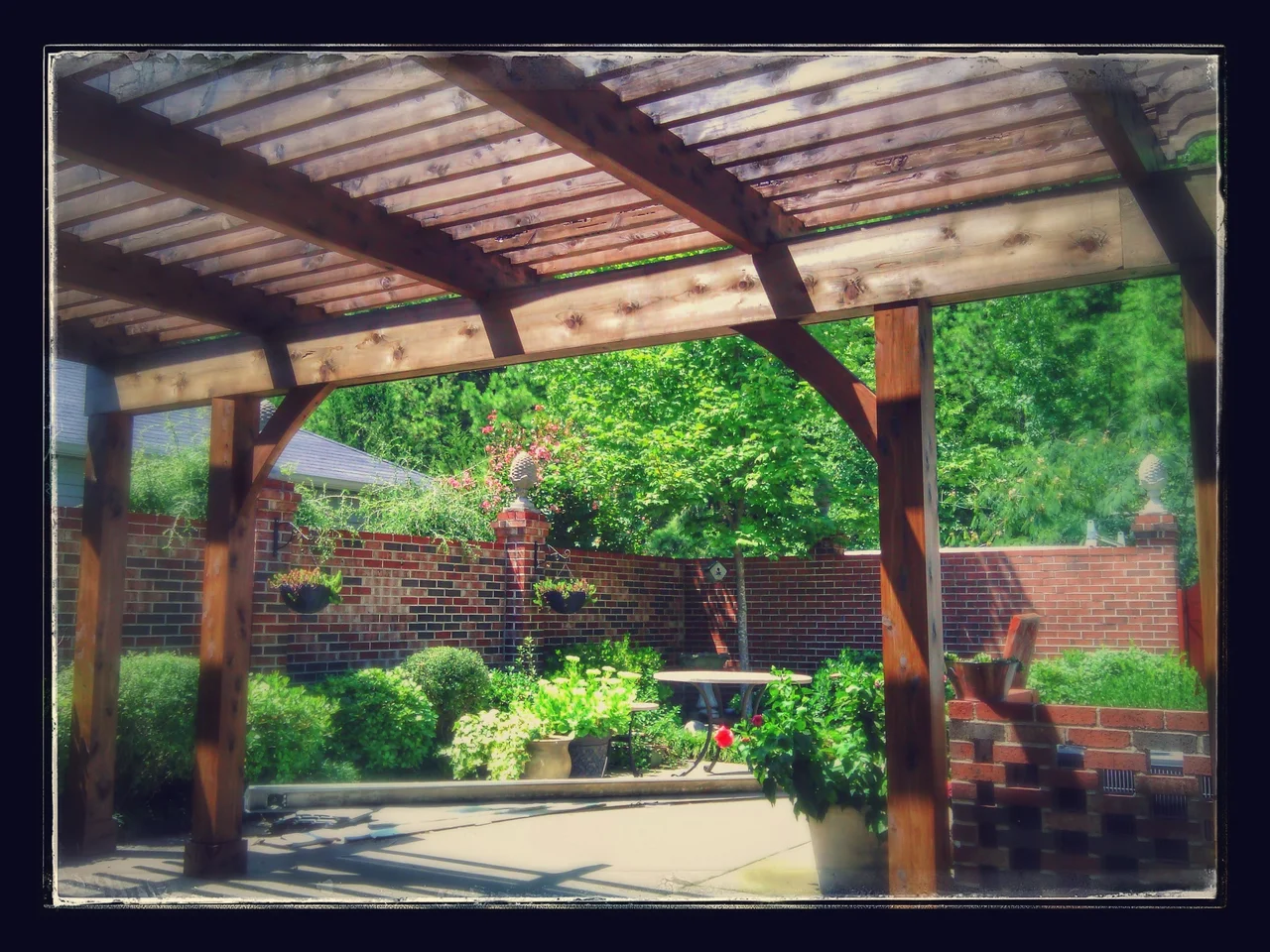 Looking up through the pergola rafters and shaped tails.